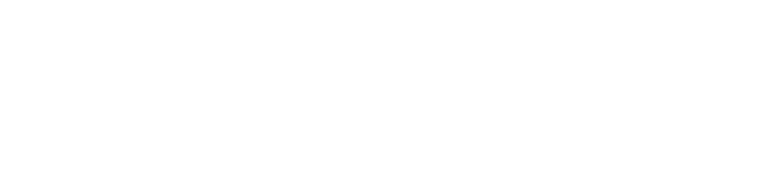 Discognizer